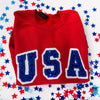 USA glitter and sequin embroidery design