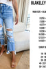 PREORDER- URBAN DISTRESSED CROP JEAN